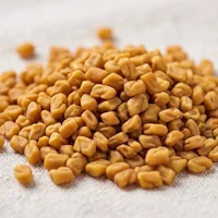 Koreanischer Ginseng-Extrakt